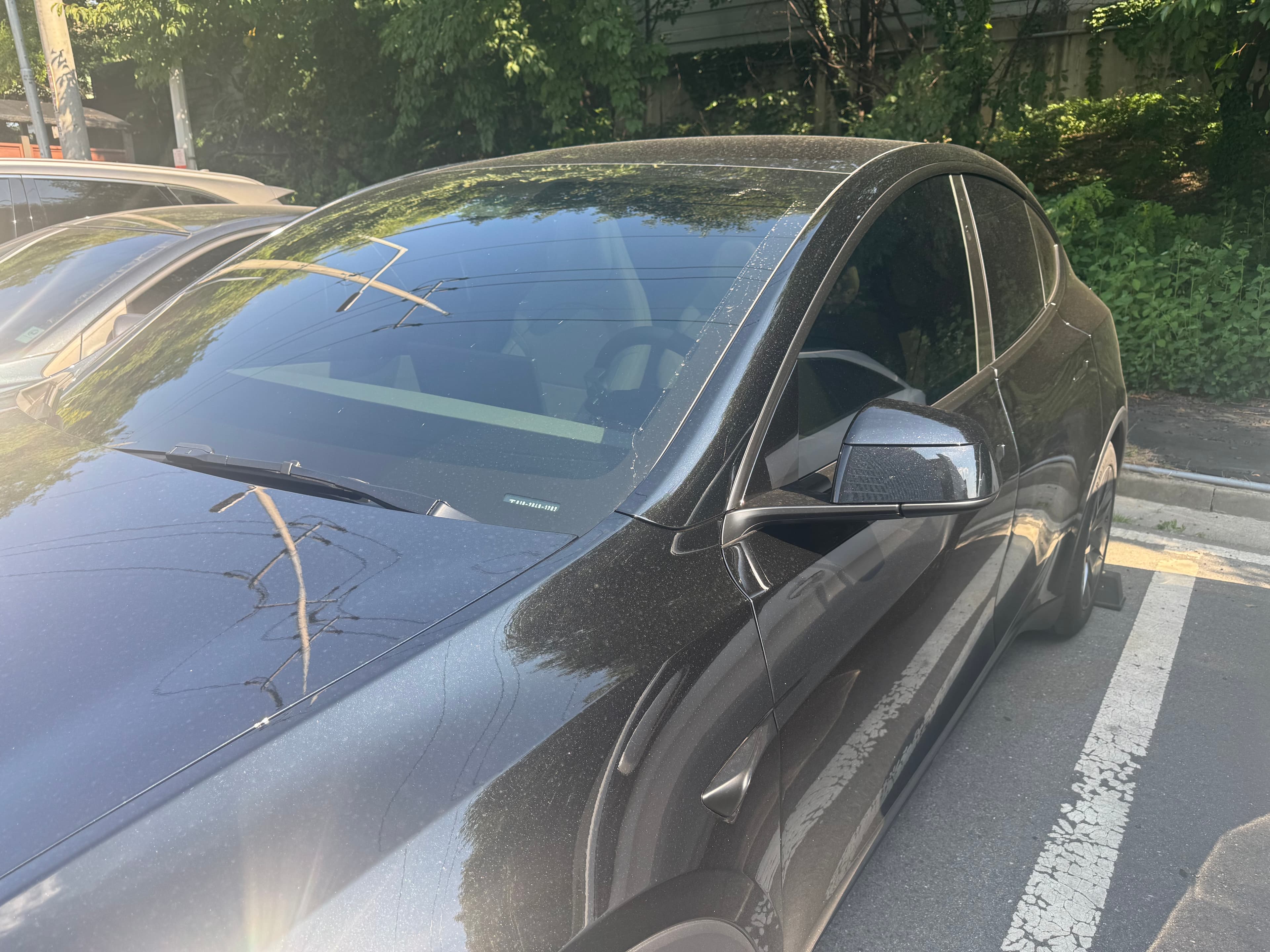 테슬라 Model Y 출고후기 사진