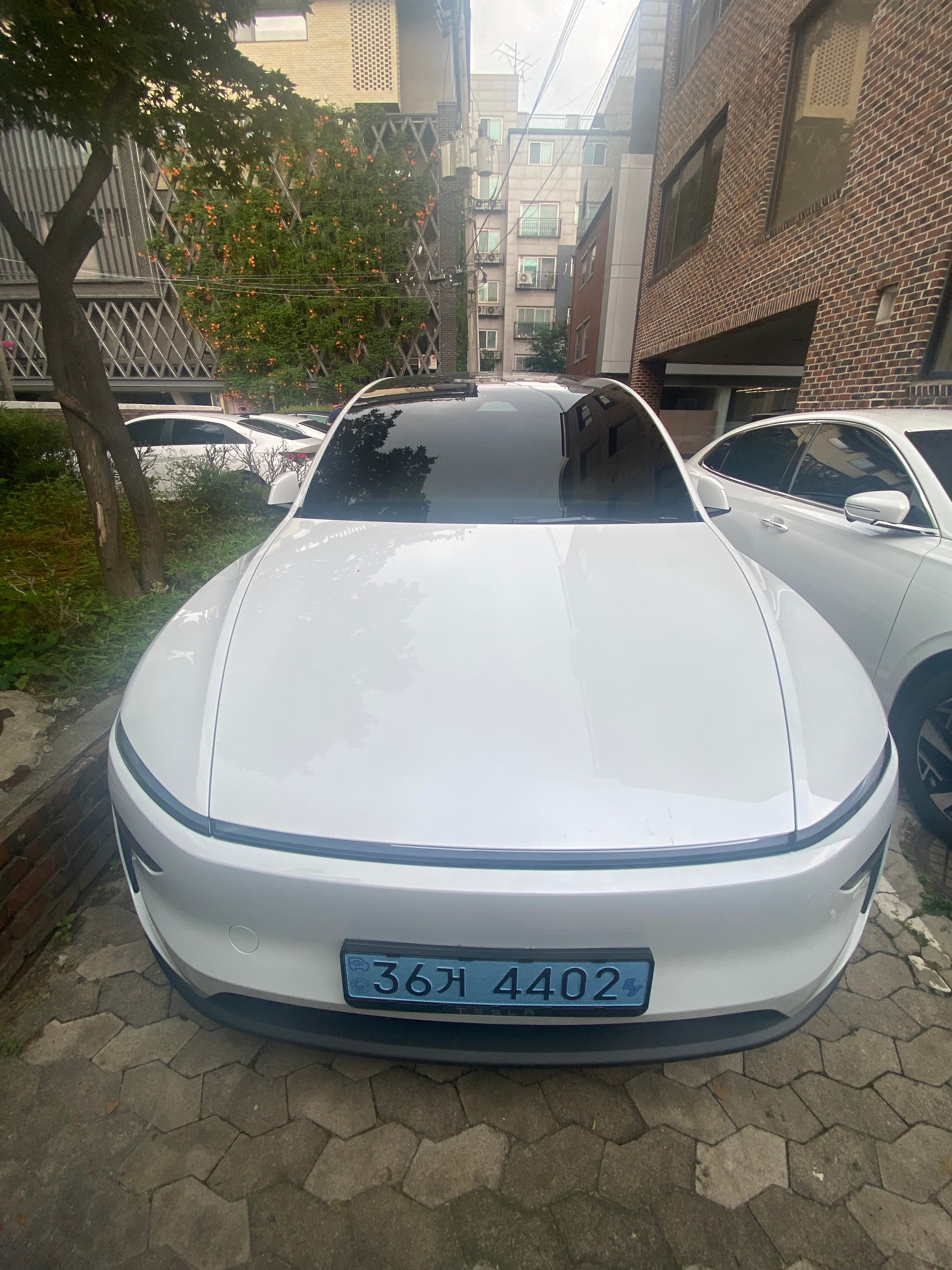테슬라 모델 Y 출고후기 사진 1